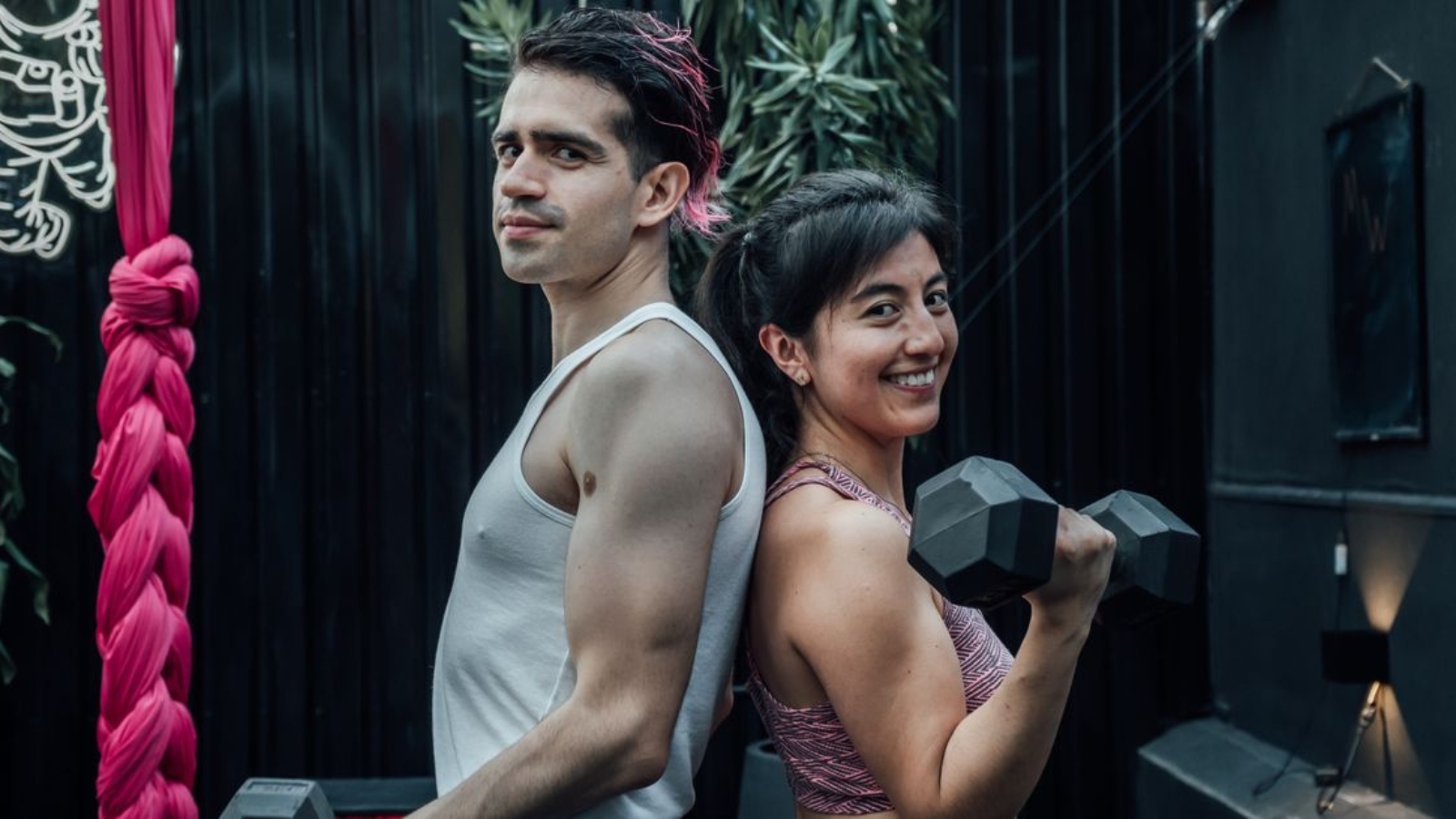 Fusos Musculares Ir para: navegação, pesquisa